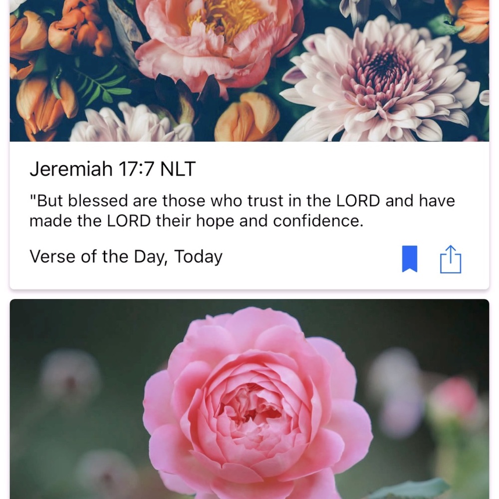 the Steadfast Love of the LORD Never ceases...His Mercies never come to an end..